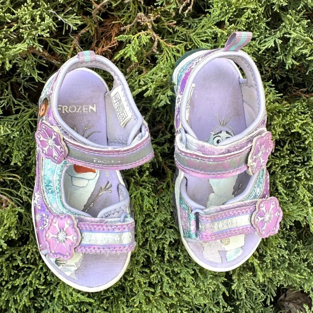 Disney preowned fair